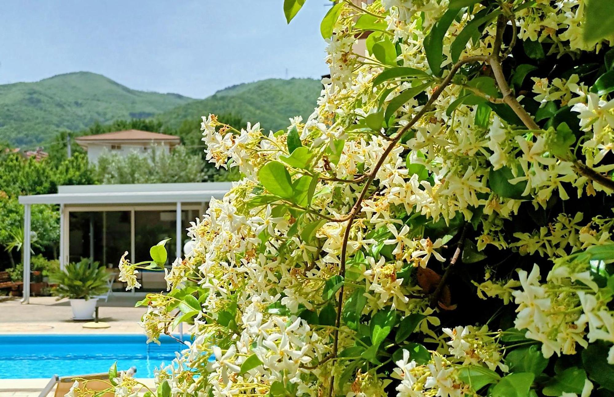 La Residenza Del Marchesato Bed & Breakfast Marano Marchesato Bagian luar foto